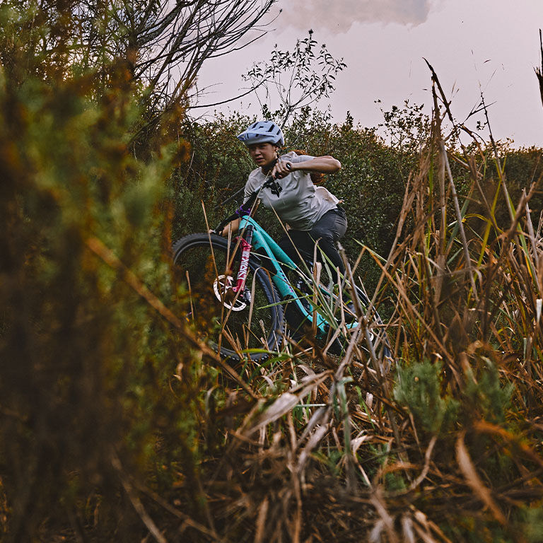 Bici